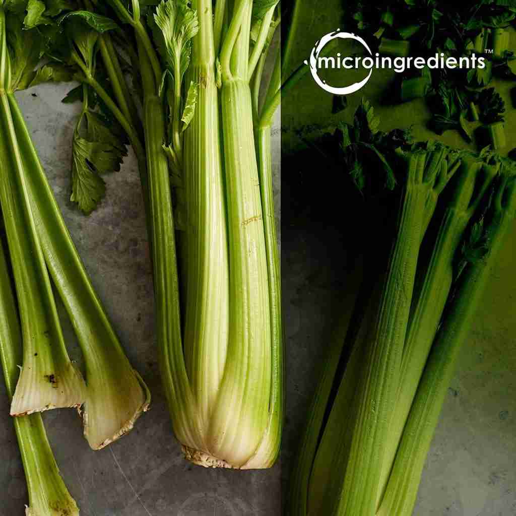 Celery Plant stalk