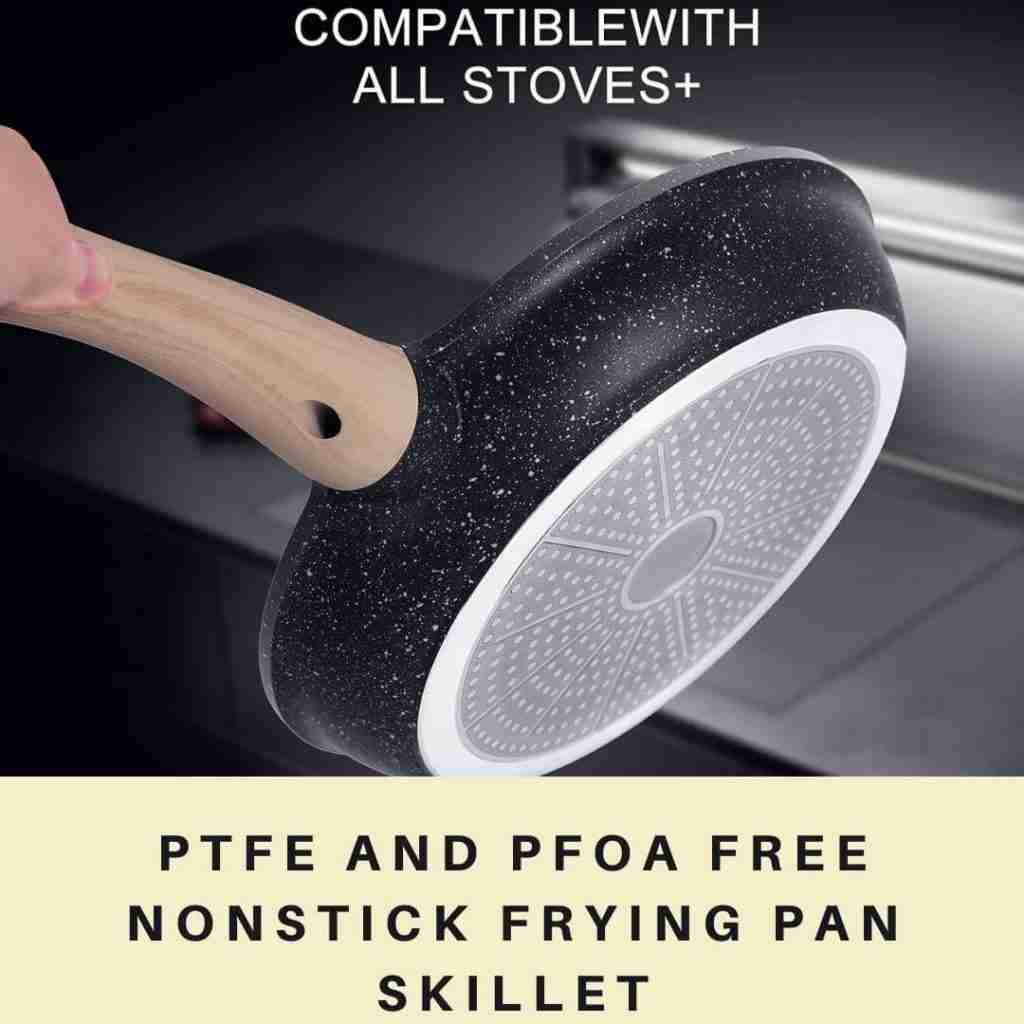 PFTE and PFOA FREE non-toxic frying pan skillet