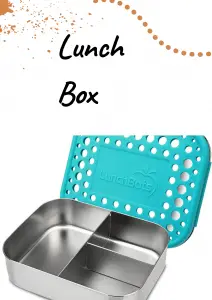 Stainless steel Launch Box