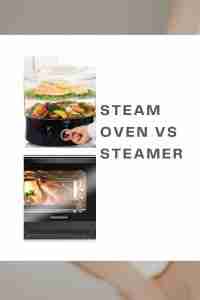 steam oven vs steamer